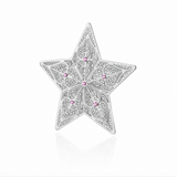 Pre Order Ganchos Estrelas Prateados