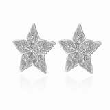 Pre Order Brincos Estrelas Prateado